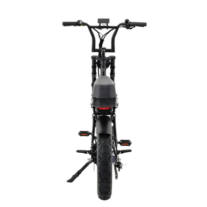 Fatfish Step 16AH Fat Tyre E-Bike